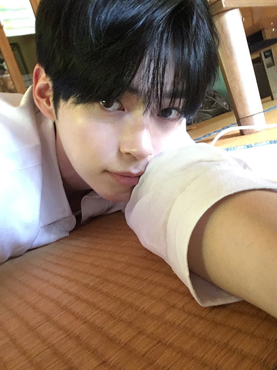 shbpics's tweet photo. 😴💬 https://t.co/hDHVKioSp4