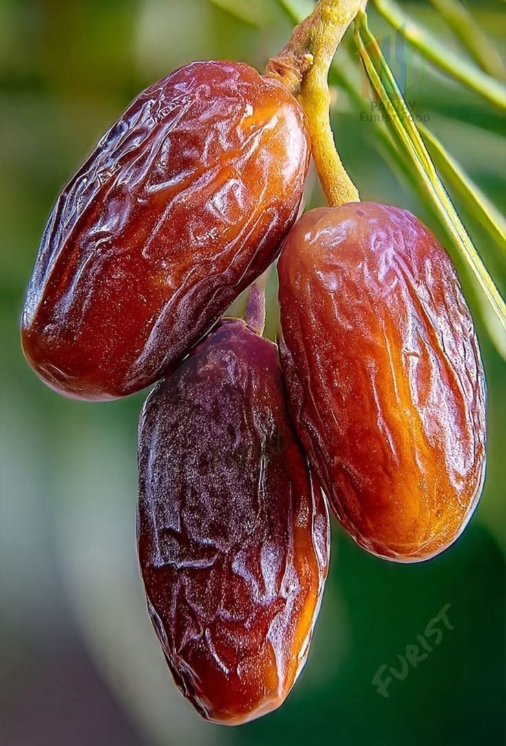 prettynature76's tweet photo. What do you call in your language? https://t.co/uA2oN1atQR