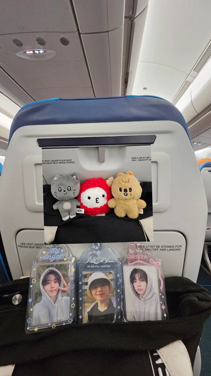 Jenshin35's tweet photo. going going w/ my babies 🥰 https://t.co/Nb99JyHU4N