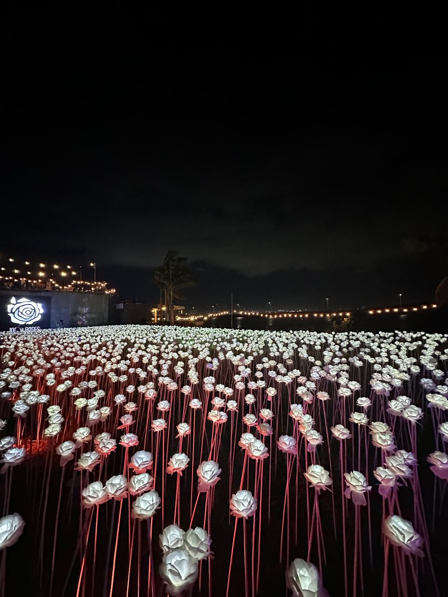 bacsjunior's tweet photo. 10K Roses

#CebuCity https://t.co/b3LVaSrv2p