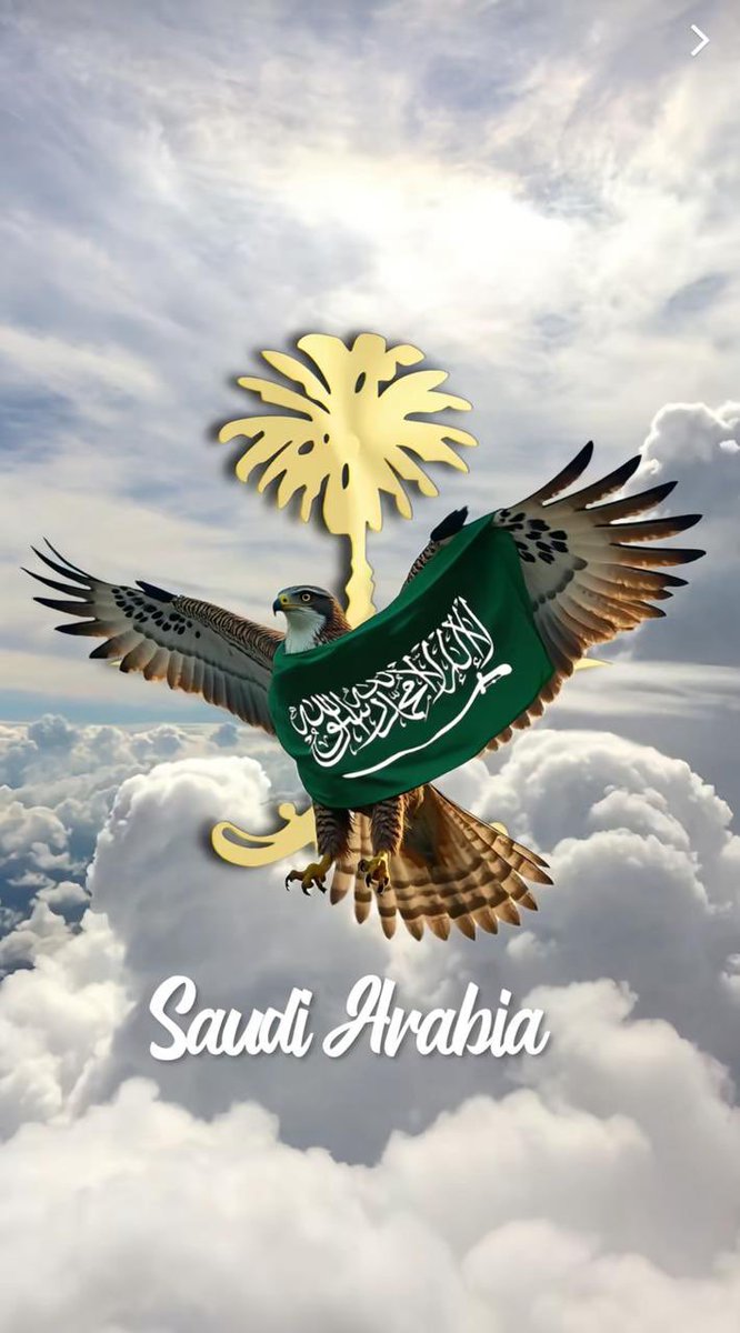 mralhaim1's tweet photo. @alrougui درع الوطن جنوب السعودية 🇸🇦💚 https://t.co/j5hQmeJN3w