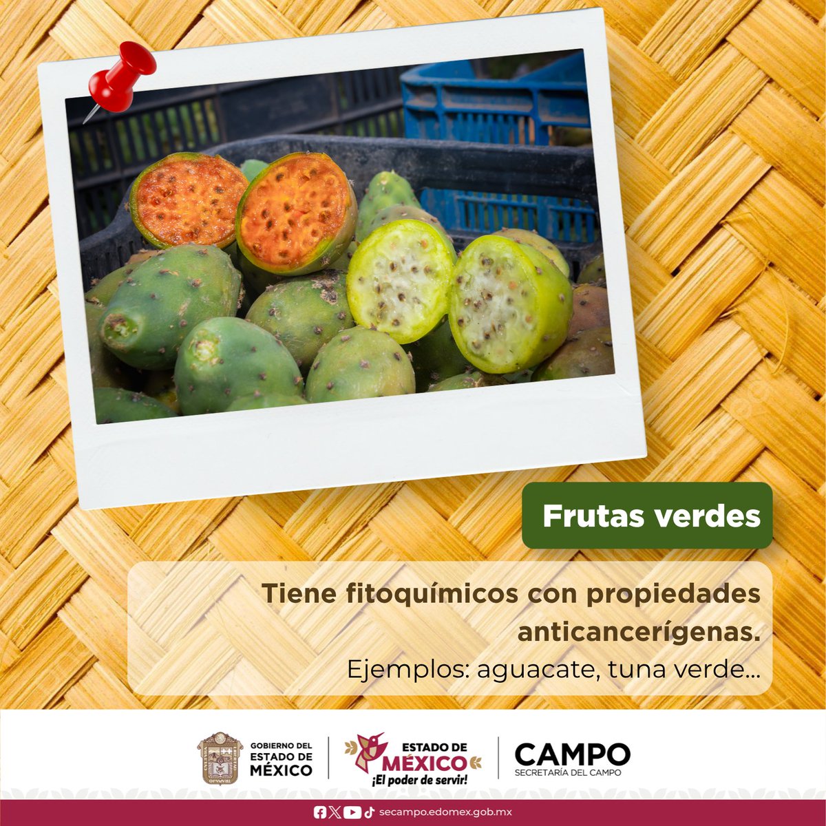 CampoEdomex's tweet photo. 🍎🌈 En el #DíaInternacionalDeLasFrutas y el #DíaLatinoamericanoDeLasFrutas celebramos la riqueza del campo mexiquense, donde se producen frutas como aguacate, durazno, fresa, manzana, pera, tejocote y tuna.

¡Elige frutas locales y disfruta sus nutrientes! 🌱

#ElPoderDeServir https://t.co/dtoLZicYNq