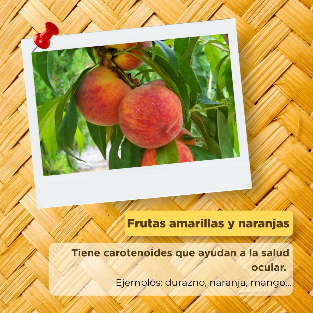 CampoEdomex's tweet photo. 🍎🌈 En el #DíaInternacionalDeLasFrutas y el #DíaLatinoamericanoDeLasFrutas celebramos la riqueza del campo mexiquense, donde se producen frutas como aguacate, durazno, fresa, manzana, pera, tejocote y tuna.

¡Elige frutas locales y disfruta sus nutrientes! 🌱

#ElPoderDeServir https://t.co/dtoLZicYNq