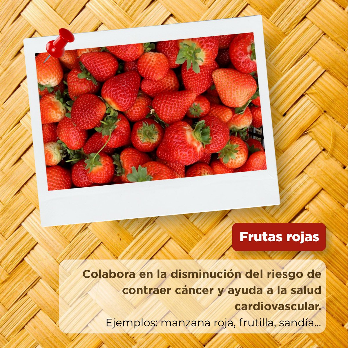 CampoEdomex's tweet photo. 🍎🌈 En el #DíaInternacionalDeLasFrutas y el #DíaLatinoamericanoDeLasFrutas celebramos la riqueza del campo mexiquense, donde se producen frutas como aguacate, durazno, fresa, manzana, pera, tejocote y tuna.

¡Elige frutas locales y disfruta sus nutrientes! 🌱

#ElPoderDeServir https://t.co/dtoLZicYNq