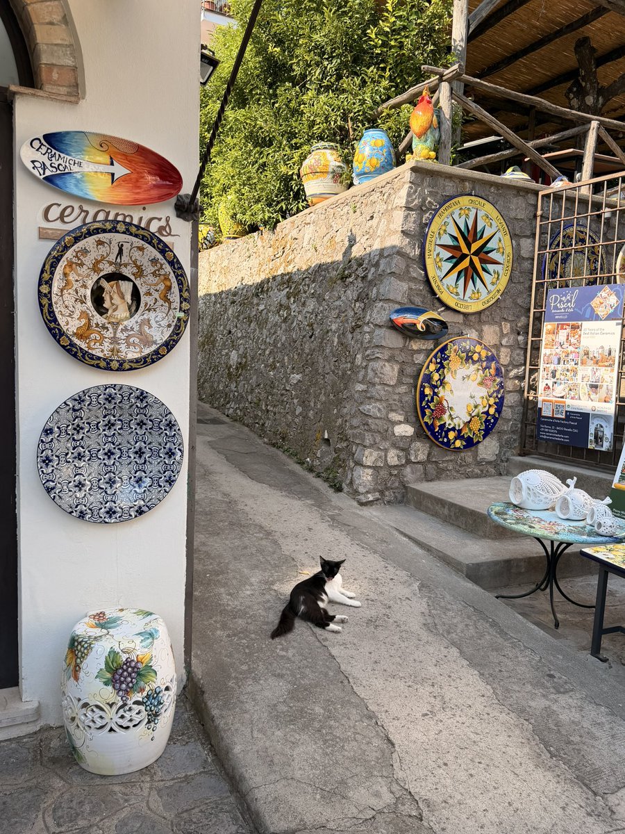 grayseh's tweet photo. Cats 💤 

📍 Ravello, Italy https://t.co/dsrW94uzlA