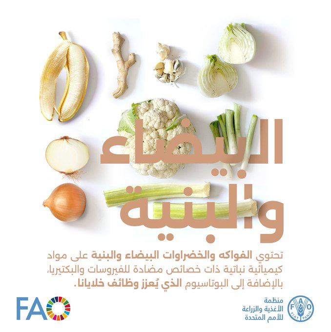 FAOarabic's tweet photo. الفواكه والخضروات ذات اللون الأبيض والبني تحتوي على مواد كيميائية نباتية ذات خصائص مضادة للفيروسات والبكتيريا بالإضافة إلى البوتاسيوم الذي يجعل خلايانا تعمل بشكل طبيعي؟

👈https://t.co/TeYSoJWznQ https://t.co/P5Aa1S0fQ4 https://t.co/iD7CoXujiv
