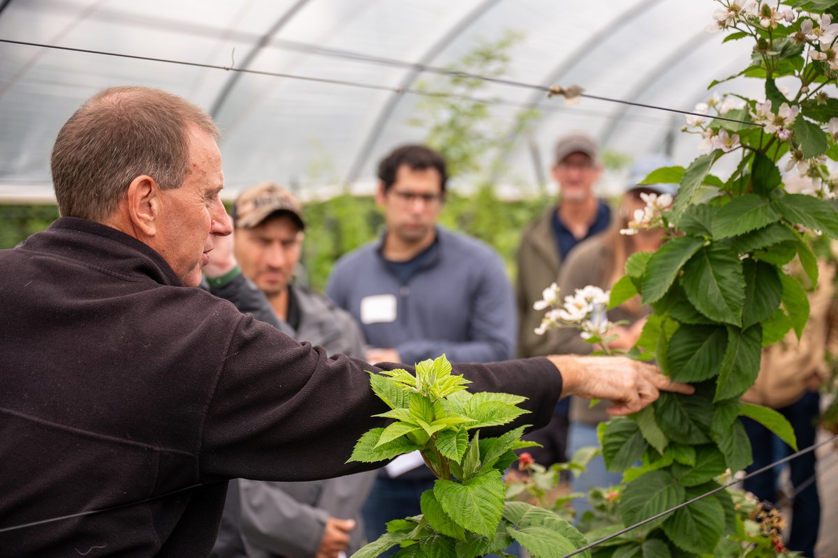 ccecornell's tweet photo. Last week, Cornell Fruit Field Day returned to @CornellAgriTech after a 10-year hiatus, bringing together industry stakeholders to explore practical solutions for commercial fruit production.

Thank you to everyone who joined us, including @NYSAgandMarkets, for helping strengthen New York's fruit industry through research and collaboration.