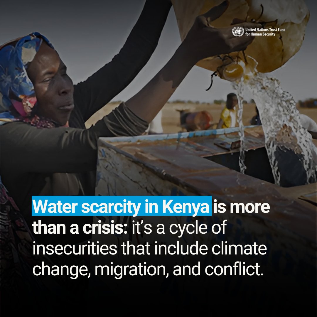 UNhumansecurity's tweet photo. In Central Turkana, Kenya, water scarcity is driving a climate-migration-conflict nexus.
A #UNTFHS programme strengthens pastoral livelihoods, expands healthcare and education, and promotes peacebuilding through early warning systems — addressing interconnected risks together. https://t.co/FqqeSELsZ6