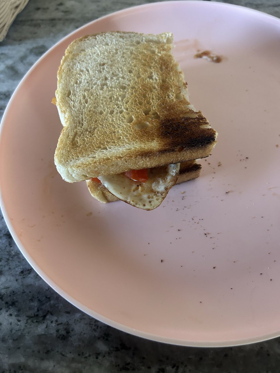 girlleatts's tweet photo. Diced up tomatoes in an egg with sourdough. Everything tastes off. https://t.co/ndAWV5Ln7j