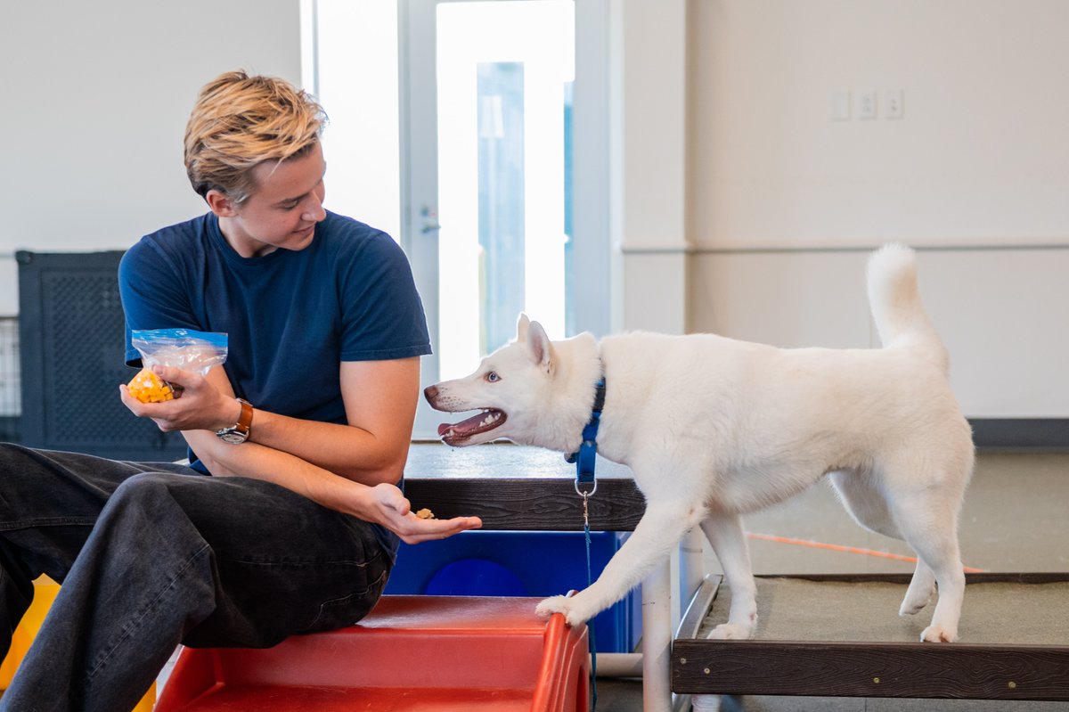 ASPCA's tweet photo. What if one act of kindness could change the lives of countless animals? That's exactly what Scooby-Doo: Origins star @MaxwellJenkins8 saw during his visit to our Rehabilitation Center in NC! Every breakthrough is part of #TheRescueEffect. Learn more @ https://t.co/pDOtjrjbAg https://t.co/WNx3fEvjNo