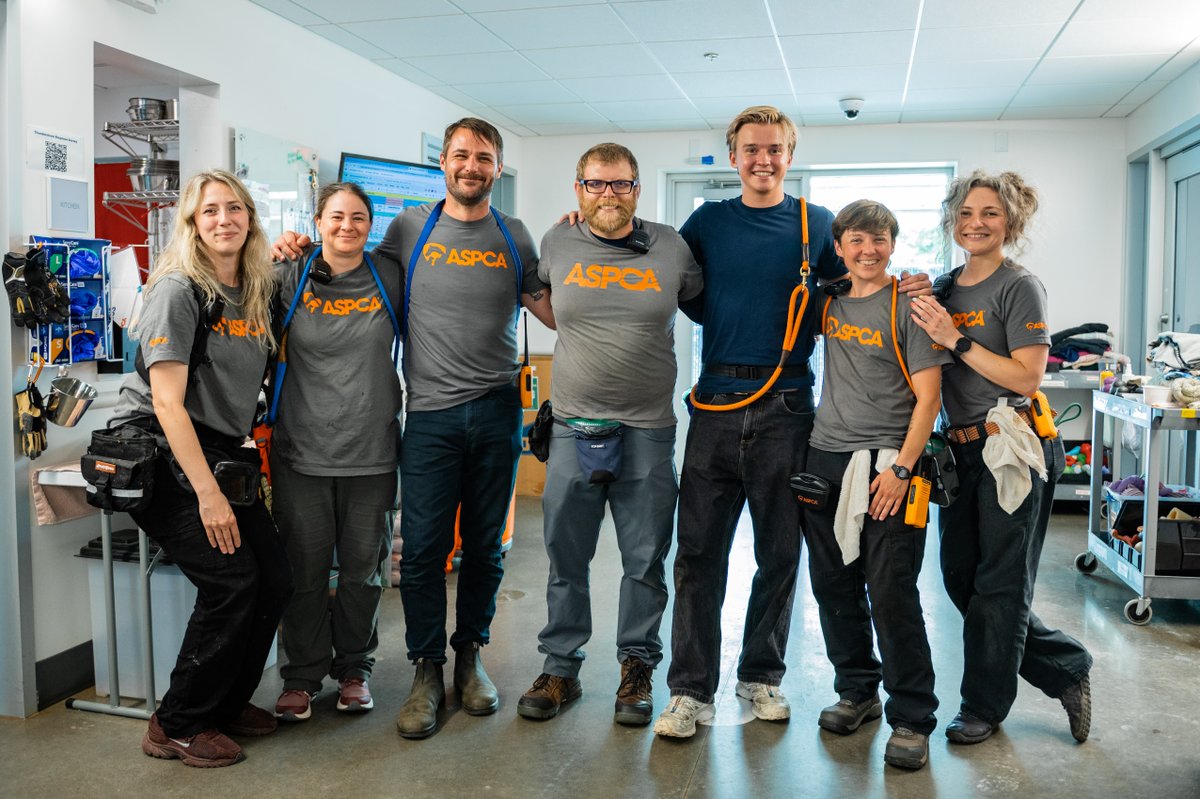 ASPCA's tweet photo. What if one act of kindness could change the lives of countless animals? That's exactly what Scooby-Doo: Origins star @MaxwellJenkins8 saw during his visit to our Rehabilitation Center in NC! Every breakthrough is part of #TheRescueEffect. Learn more @ https://t.co/pDOtjrjbAg https://t.co/WNx3fEvjNo