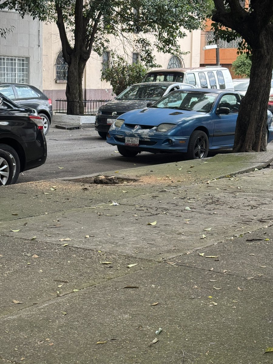 ardillawer's tweet photo. Oigan como que ya se echaron muchos árboles no? @LaRomaDF @pcacuauhtemoc @AlcCuauhtemocMx https://t.co/Vlnj28ww0X