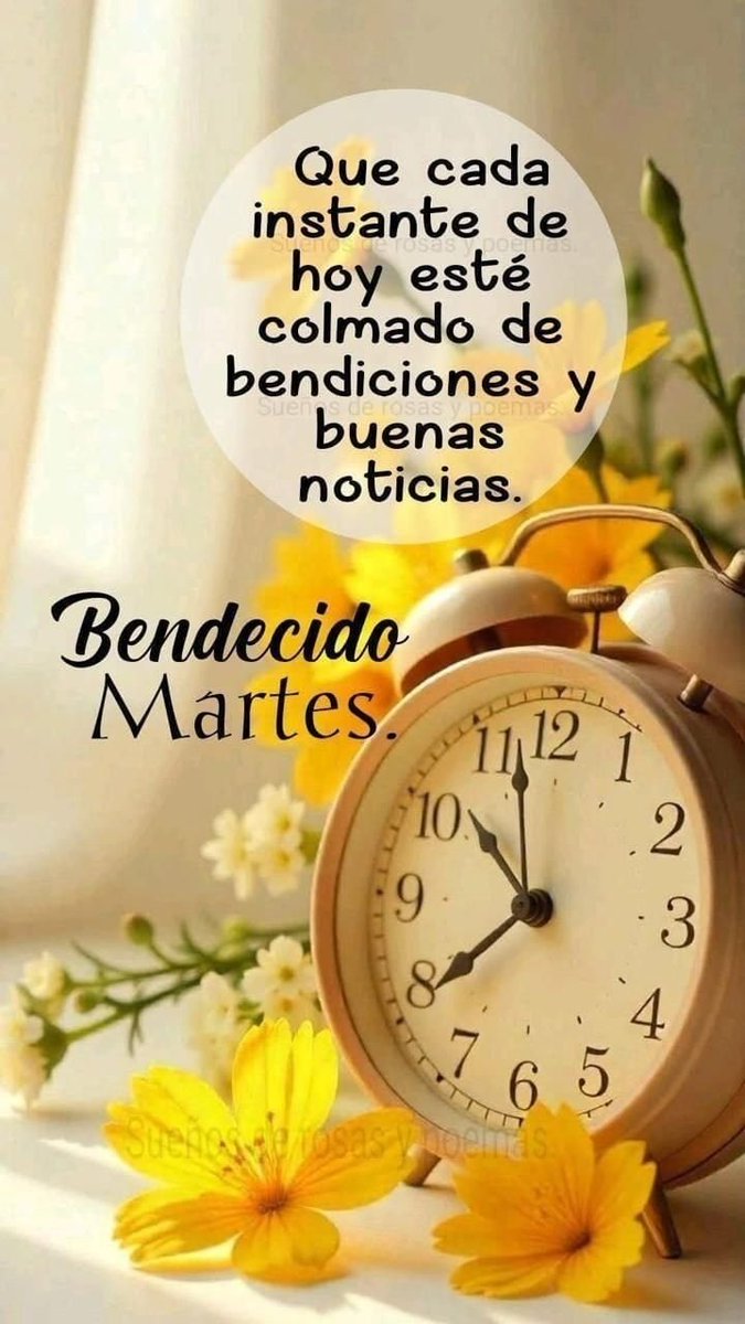 RonaldGZldvar's tweet photo. @Silvita_Sorian0 Feliz día Silvia https://t.co/sV87fj7W2d