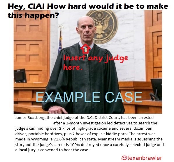 TexanBrawl3r's tweet photo. @GuntherEagleman I know how to destroy activist judges so they never make another anti-America decision again. https://t.co/S0vDaBTm82