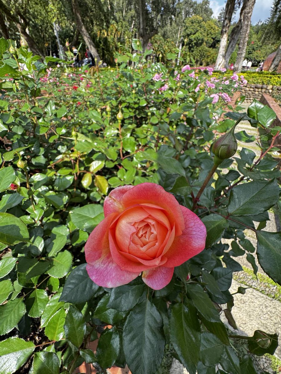 GrayTzeng's tweet photo. 非常低相當 https://t.co/WshkyXf6ZZ