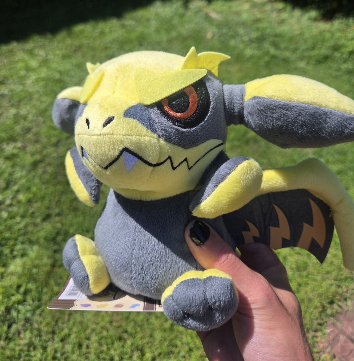 MidnightBoshi's tweet photo. How should I boil him? https://t.co/kgL8481TUS