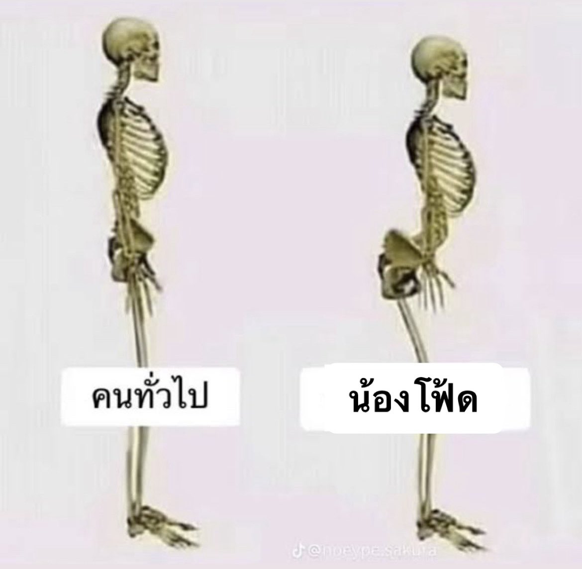 _iamnornorrr's tweet photo. อันนี้เรียกแมลงก้นกระดกมั้ยน้องโฟ้ด https://t.co/FN18nZeULz