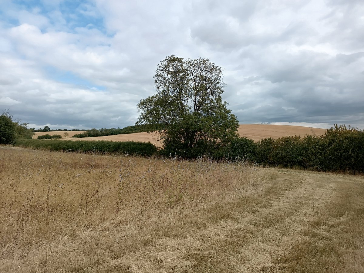 phil0073's tweet photo. In #CatAcre with #CrossWay(left) & #RocklayHill in view . #FaxtonFields #Northamptonshire.#PhilOnaBike #WednesdayWander #FridayFields #clouds #FootpathFriday https://t.co/JBV1PMfftx