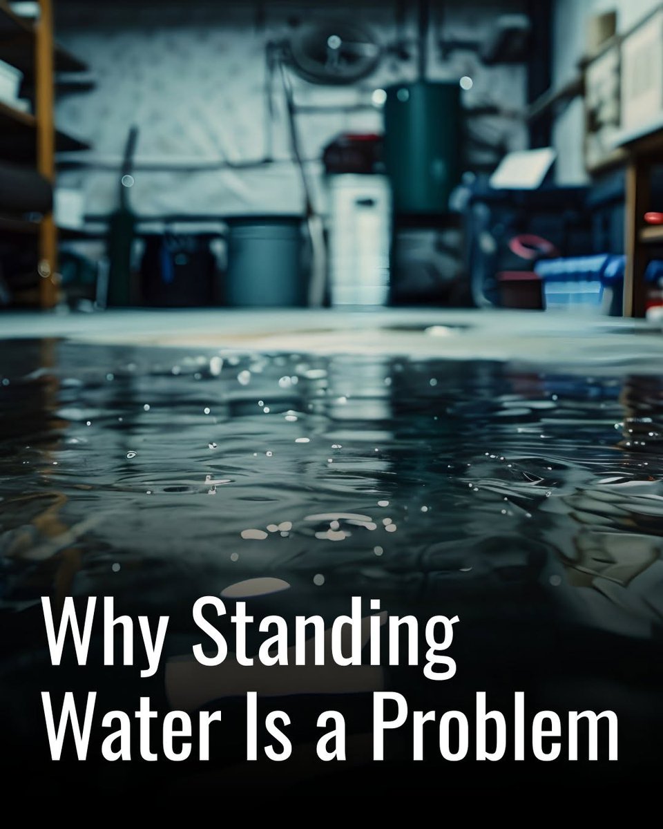 SouthCrawlSpace's tweet photo. Standing water under your home is never something to ignore. It can lead to moisture buildup, musty smells, wood damage, and other crawl space concerns that may affect the home above it. https://t.co/A052cBksTv