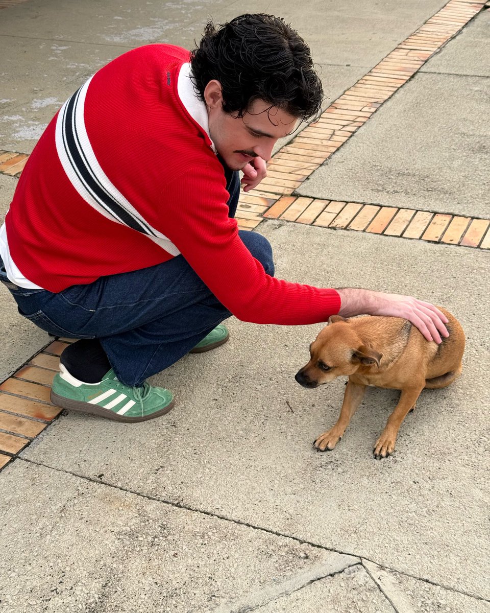 temponaoerra's tweet photo. Quando eu acho que não posso amar ele mais, vem essas fotos 🫶🏻 https://t.co/yCR1nxTSKM