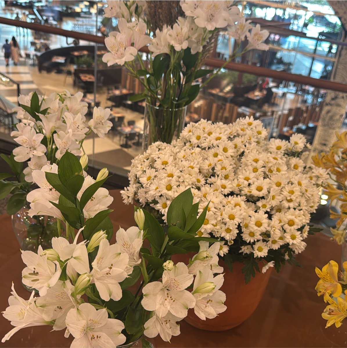 queoamor's tweet photo. @jaoromania fui no shopping ontem e tinha uma única mesa com essas flores em cima, Coincidências você não acha? https://t.co/L2BOGIWuS2