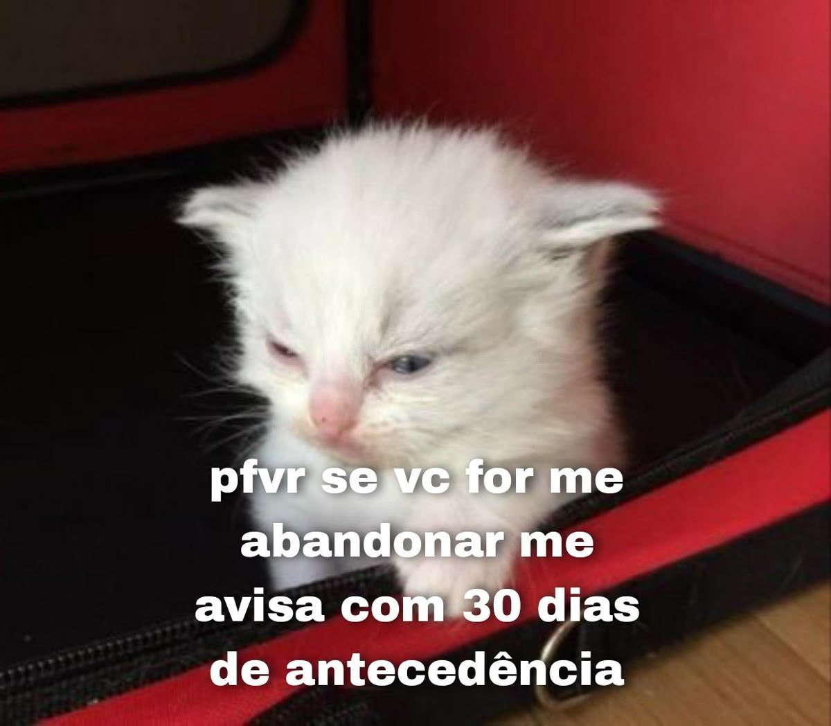 shitpostverdade's tweet photo. https://t.co/YphPaJdxyC