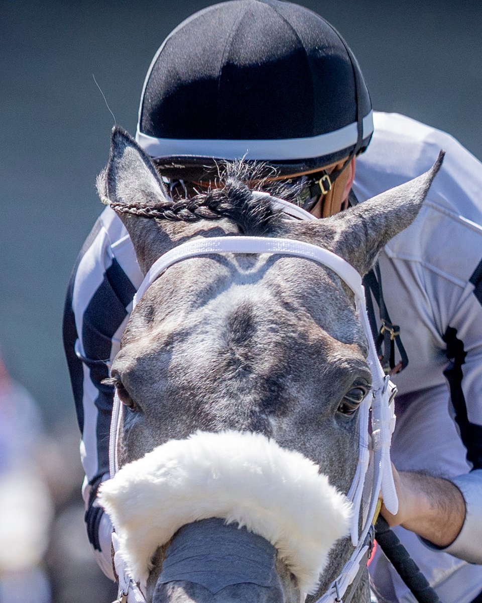 santaanitapark's tweet photo. Autumn Meet tickets are creeping up… tag who's taking you to the races 👇🎟️ https://t.co/2hZBUgtHzv