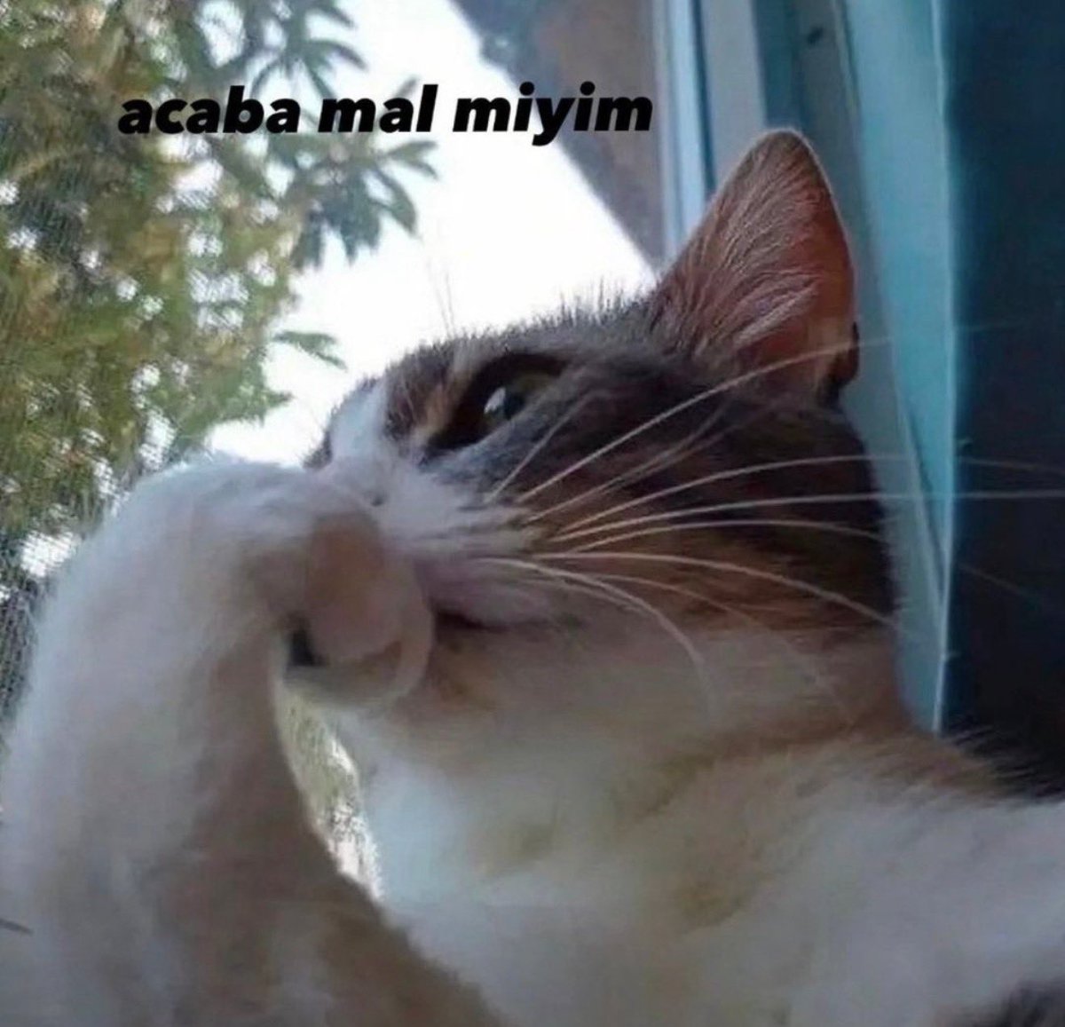 halilbeeyx's tweet photo. Gün içinde en ufak boşlukta ben https://t.co/IHLes64mJJ