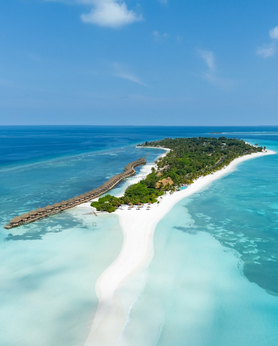 KureduResort's tweet photo. The sandbank is perfect for peaceful walks, uninterrupted views, and moments that stay with you long after your visit.
What’s your favourite time of day to visit the sandbank?
#Maldives #VisitMaldives #Sandbank #Paradise #KureduMaldives https://t.co/egfe0DOAfx