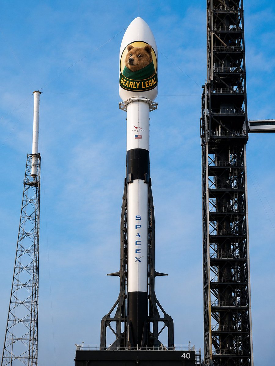 IsekaiX800's tweet photo. @elonmusk 💪🐻🌕 https://t.co/QlEtHASBJW