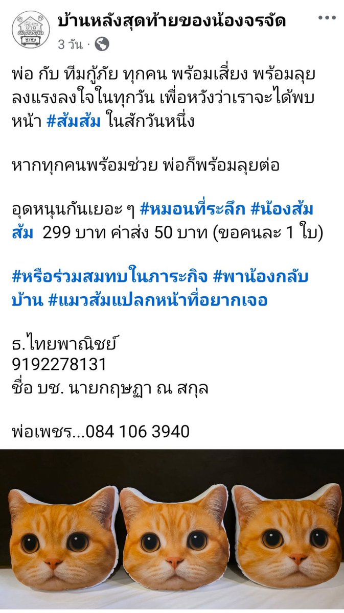 KhaohomSiri's tweet photo. นอกจากหมอนน้องสีส้มแล้ว พ่อเพชรมีกล่องทิชชู่ลายน้องหมาด้วยนะคะ ใครสนใจอยากสนับสนุนสามารถทักเพจหาพ่อได้เลยนะคะ🙏🏻

#แมวหายบนรถไฟ #ส้มส้ม https://t.co/ODi6c4vitb