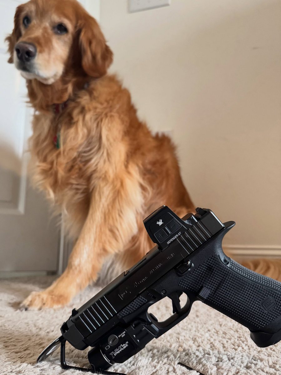 VortexOptics's tweet photo. Whoever said Golden Retrievers don’t make good guard dogs never met this one. https://t.co/bAzprVYXkZ