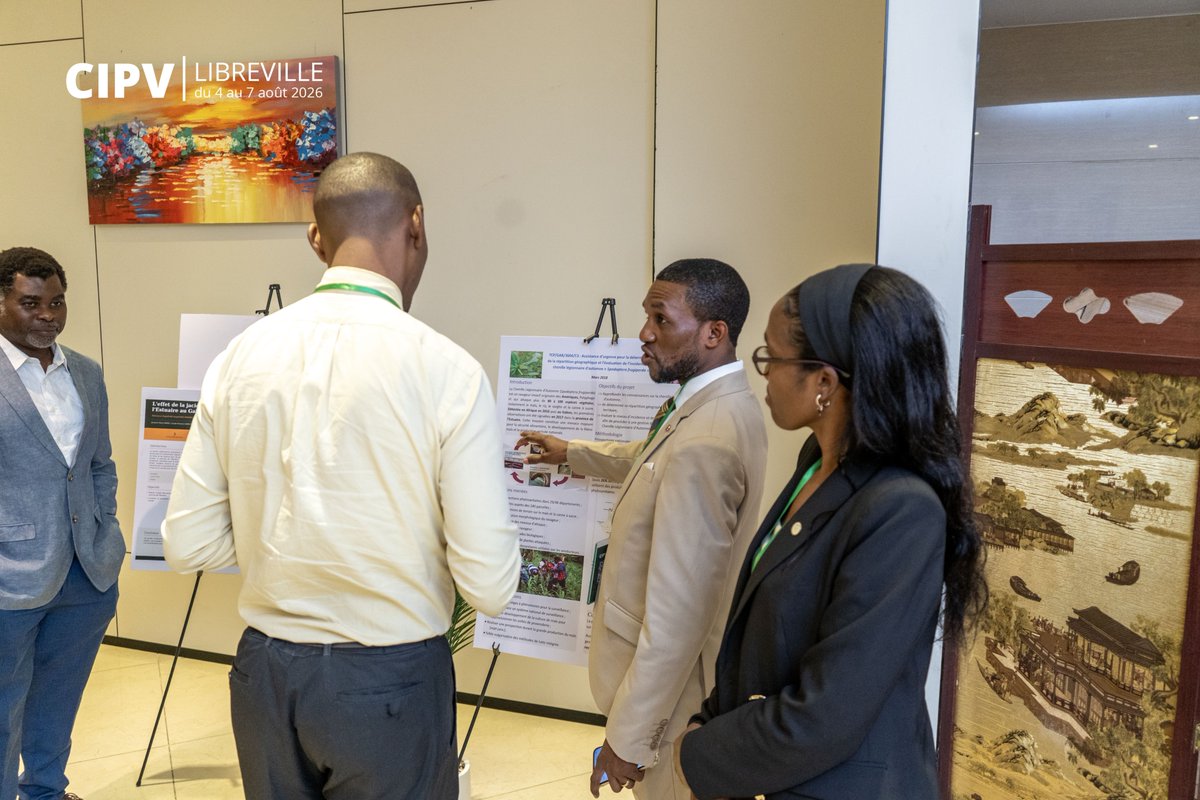 agasa_gabon's tweet photo. 🌱 #CIPV | Place aux sessions parallèles, dédiées au partage des connaissances scientifiques sur la santé des végétaux.
Chercheurs et experts présentent leurs travaux pour mieux comprendre les risques phytosanitaires et renforcer la protection des cultures.
@ippcnews 
@FAOPlants https://t.co/1mz67FJ8o2