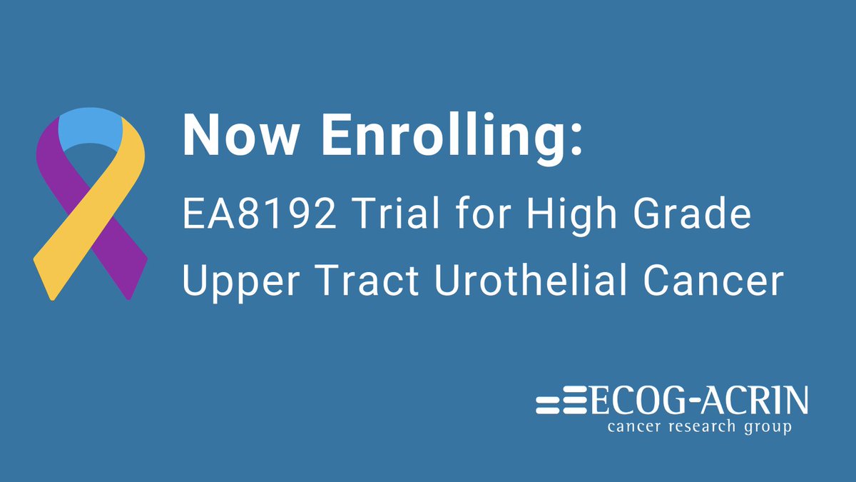 eaonc's tweet photo. EA8192, led by @JCensits and @PGrivasMDPhD, is a phase II/III #clinicaltrial of durvalumab and chemotherapy for patients with high grade upper tract urothelial cancer prior to nephroureterectomy. For more: https://t.co/4dphxuN1s4 #blcsm https://t.co/VqMTYIVJ3B