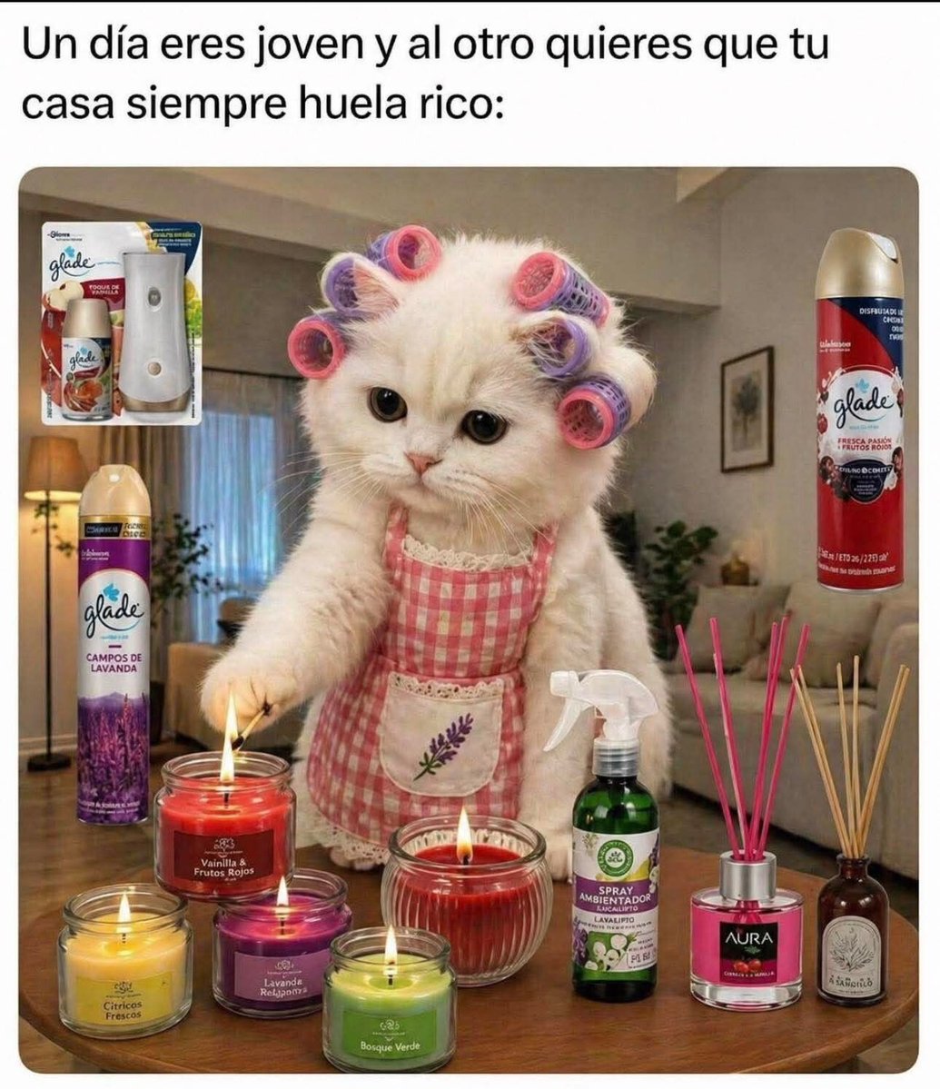 Queviral_'s tweet photo. https://t.co/AWMfksVbKD