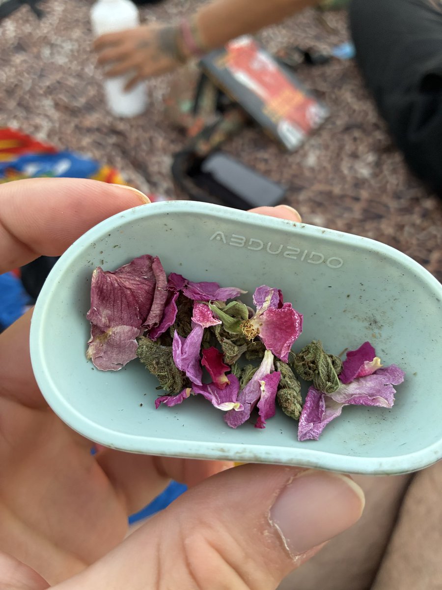 mechamadebynn's tweet photo. Me sentindo mt pop cult chique exclusive fumando pétalas de rosa https://t.co/cGw3WQ2QeD