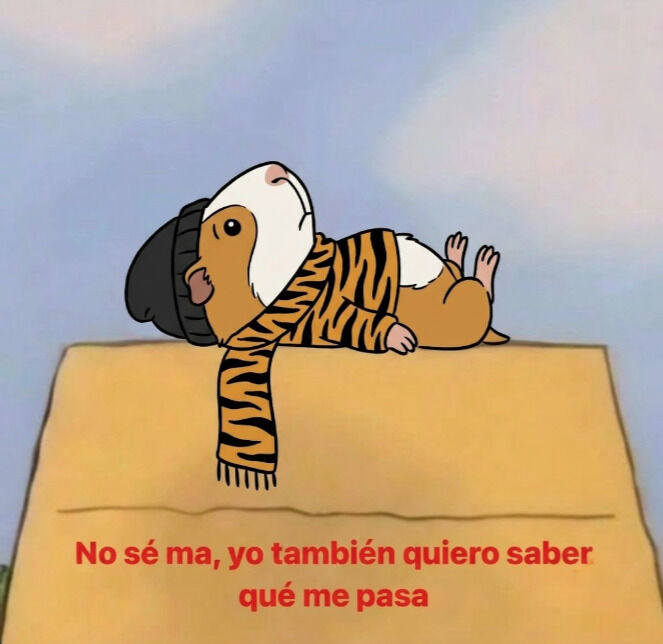flanchota's tweet photo. https://t.co/LhS0eQw5h1