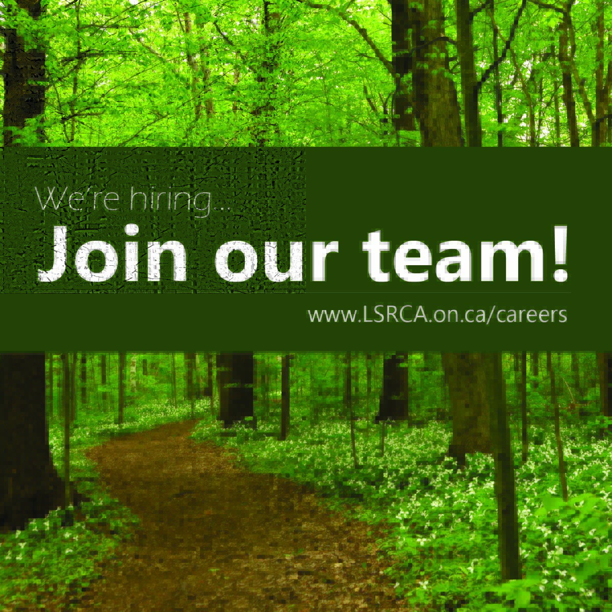 LSRCA's tweet photo. Join the team! We're hiring a GIS Technician . For more information or to apply, https://t.co/CbEkXqxkEP.
#Hiring #ConservationJobs #JobPosting https://t.co/ji7Yv3Sxj2