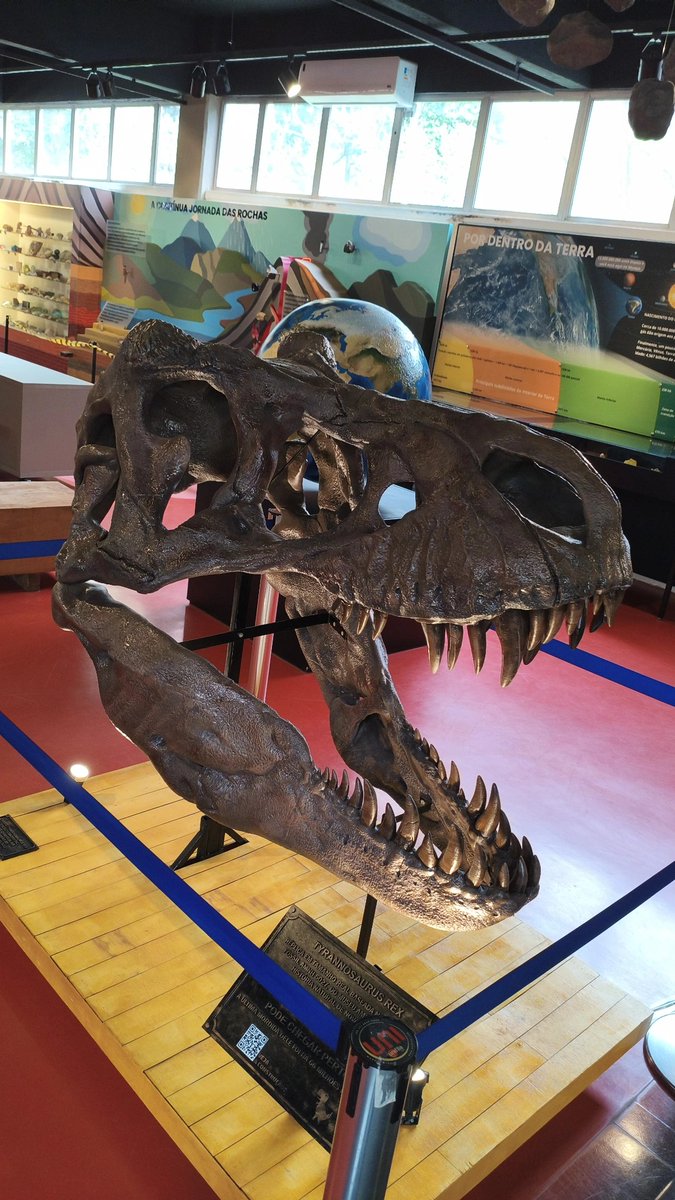 _klaustrofobia's tweet photo. O negócio é dinossauro https://t.co/2moVdAkp8t