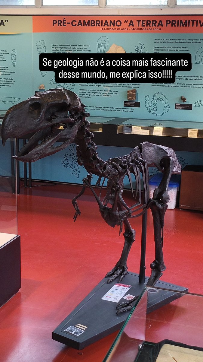 _klaustrofobia's tweet photo. O negócio é dinossauro https://t.co/2moVdAkp8t