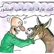 rad55alabede's tweet photo. @alsafi_husien https://t.co/JsY4ow91Y2