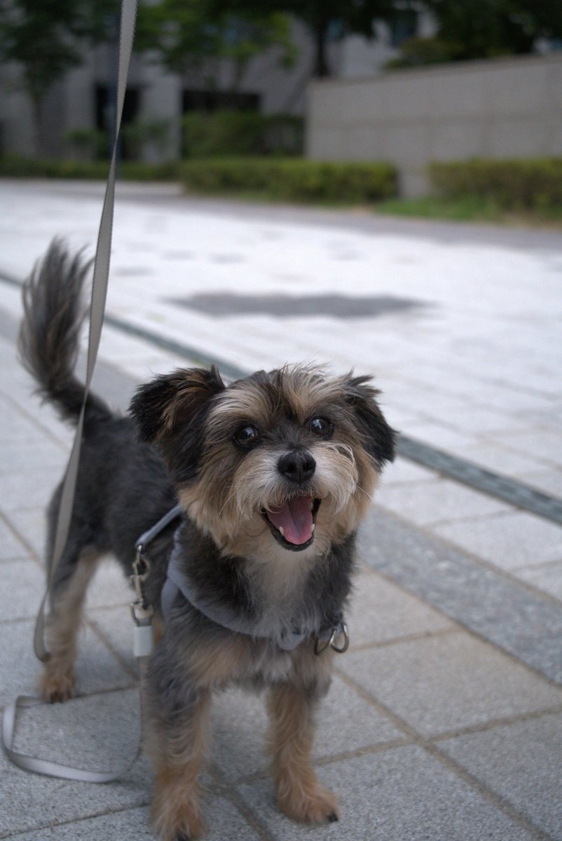 byminolta's tweet photo. 이 더위에 웃는 니가 일류다! https://t.co/dYdCdLBIsL