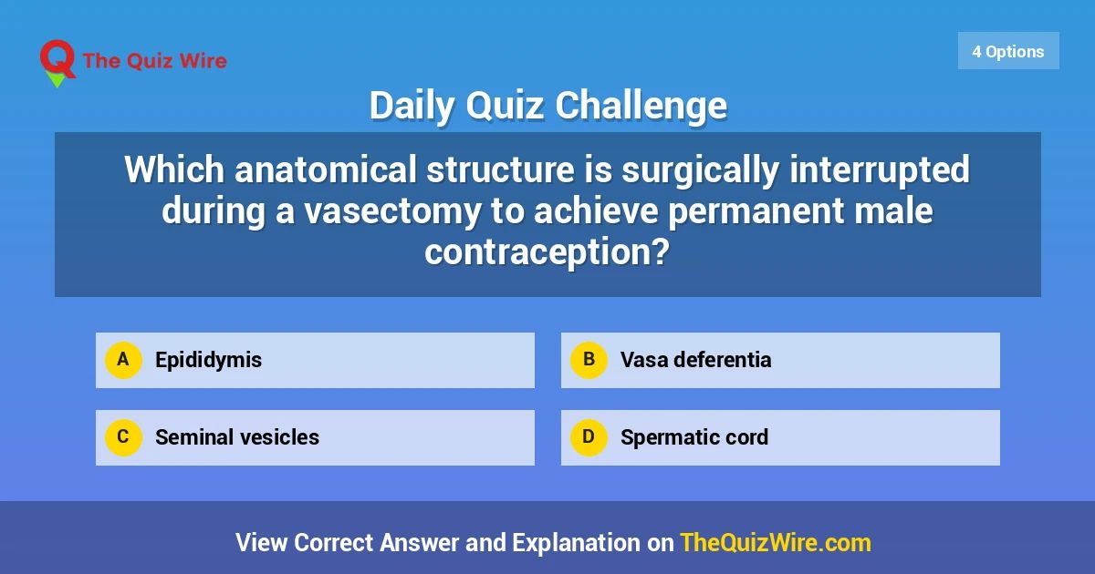 thequizwire's tweet photo. Which anatomical structure is surgically interrupted during a vasectomy to achieve permanent male contraception?

#TheQuizWire #Huma...
https://t.co/0pbg3KZIj4 https://t.co/XfDuY9yFez