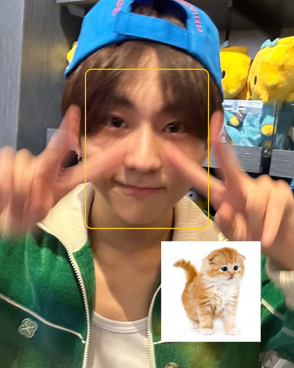 un6ho's tweet photo. introducing my cats :3 https://t.co/W3huMcAfWY