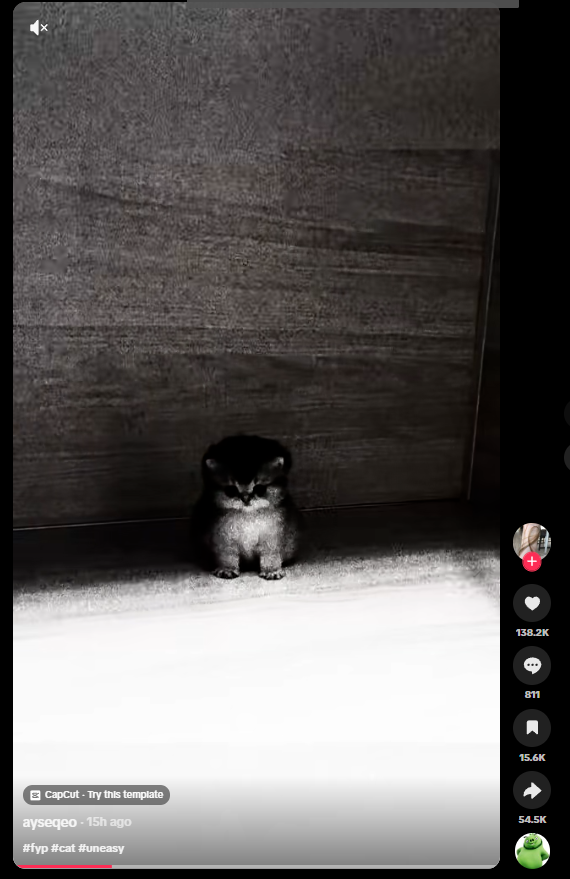 K1rajj's tweet photo. this post is going viral 

+140k likes in 15hrs getting tons every minute

this is the auracat, ppl are calling him that in the comments

https://t.co/j9Ye4vFHP6 https://t.co/lRn0eVnYb7