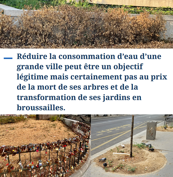 mtwit75's tweet photo. « Comment la politique de sobriété en eau de Paris a condamné les arbres ». Dominique Dupré-Henry et Tanguy Le Dantec dénoncent la politique mise en place par la municipalité, qui menace les espaces végétaux et aggrave les risques pour la santé publique.
https://t.co/A4EQm6suZI https://t.co/ULC9MO3V14