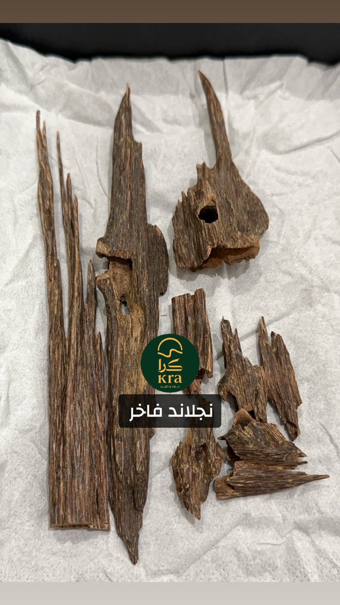 oudkra's tweet photo. @Nwader_Oud طبعا التقييمات والتفضيلات الشخصية هي من حق الجميع وكل شخص له ذوقه الخاص،

ولكن نصيحتي: حتى تصل لتقييم عادل للعود سواء نجلاند، اسام، ميزورام او مانيبور قم بتجربة الدرجة العالية منه (من الدبل سوبر واعلى) واستمتع 👍🏽 https://t.co/vbdt1PA43F