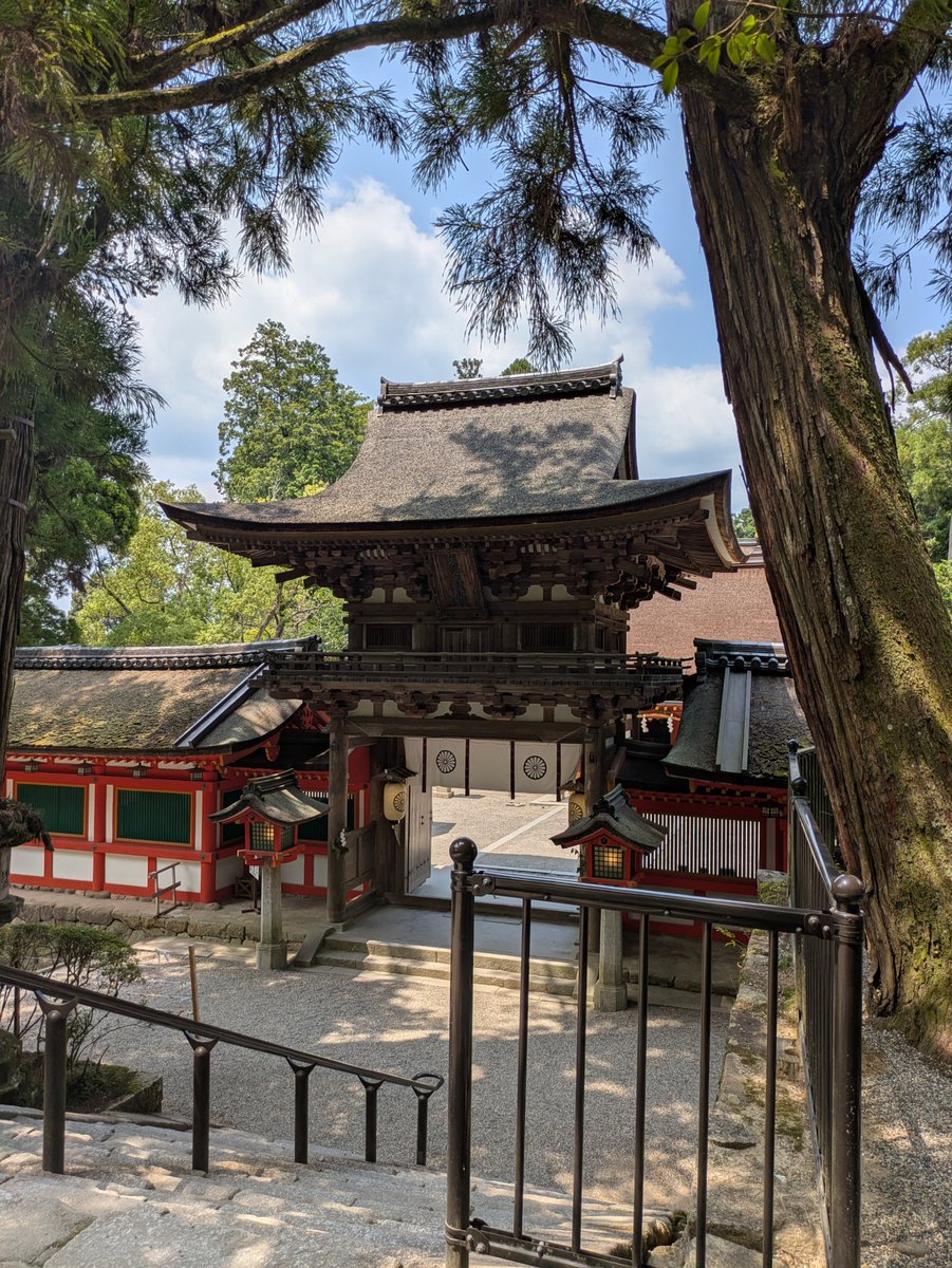 KG_Holy's tweet photo. 奈良県天理市の石上神宮(いそのかみ-)参詣⛩️
写真1枚目は摂社出雲建雄神社拝殿(国宝です)。御神鶏のニワトリもこの暑さでは動きがにぶいです https://t.co/fFPej5sJVM