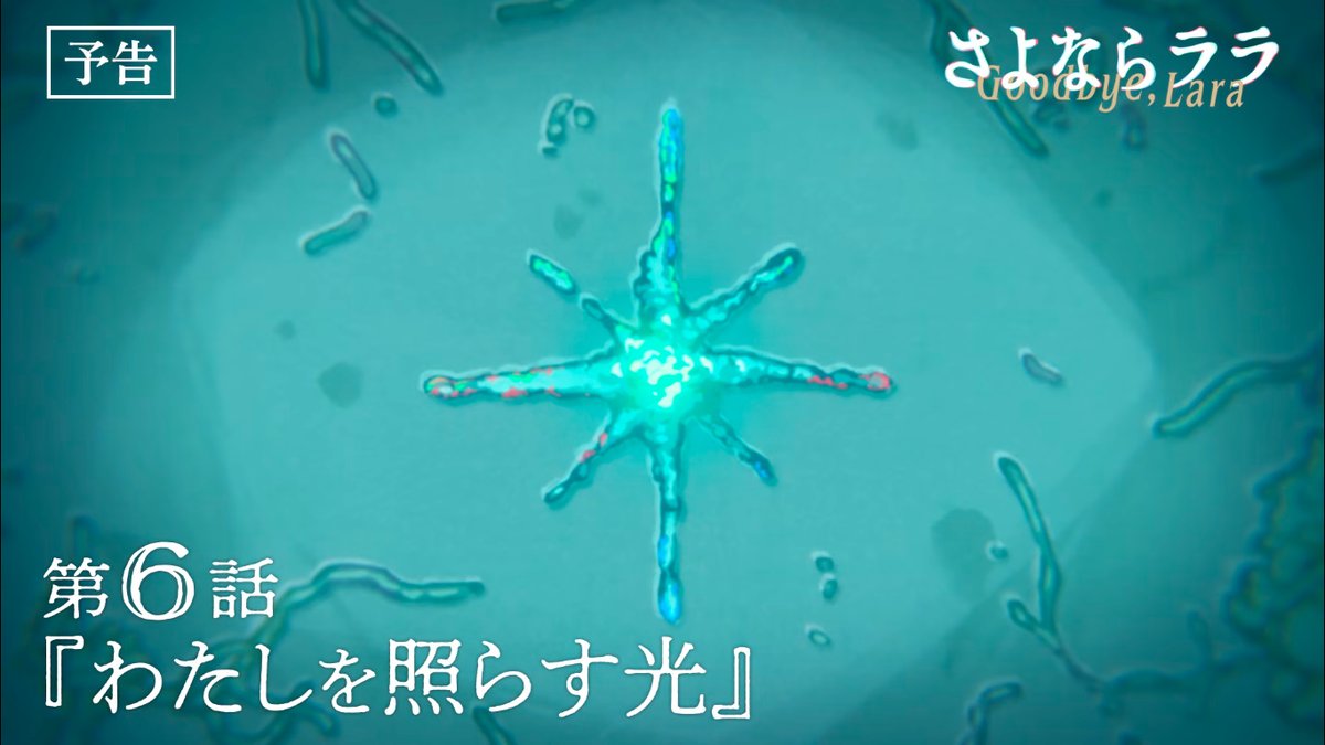 ezuki3401's tweet photo. 水圏生物科学でウイルスが出てくるとそういう話だよなあ（いわゆる巨大ウイルス、真核生物の進化の起源の鍵を握る）そしてこのウイルスの形はララの恋の光に似ている。#さよならララ https://t.co/UJY1GXUfp9