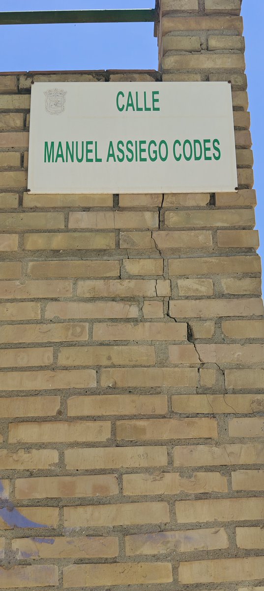 ja_collado's tweet photo. El ayuntamiento de @malaga debería venir a talar esta palmera antes de que ocurra una desgracia.... https://t.co/lbAPYNJhaK